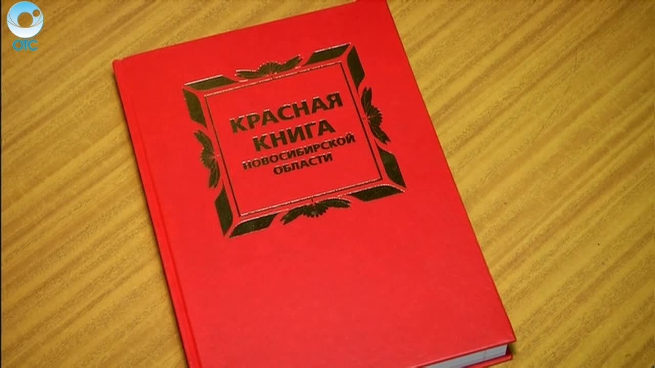 Красная книга новосибирской области презентация